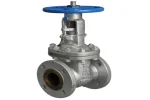 Gate valves for steam